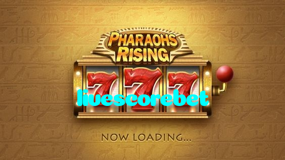 livescorebet